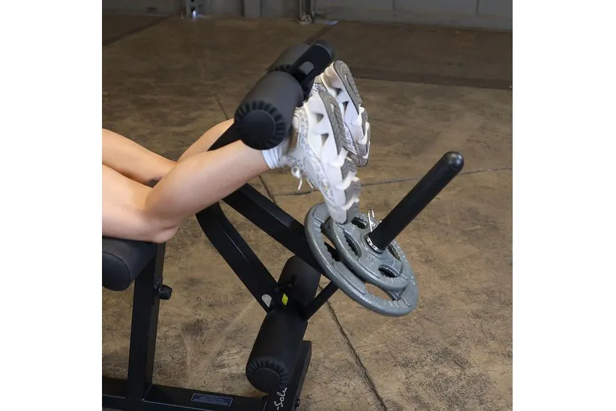 Body-Solid Seated Leg Extension & Supine Curl