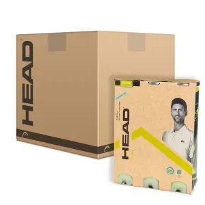 Head Team Tennis Balls - 12 Dozen
