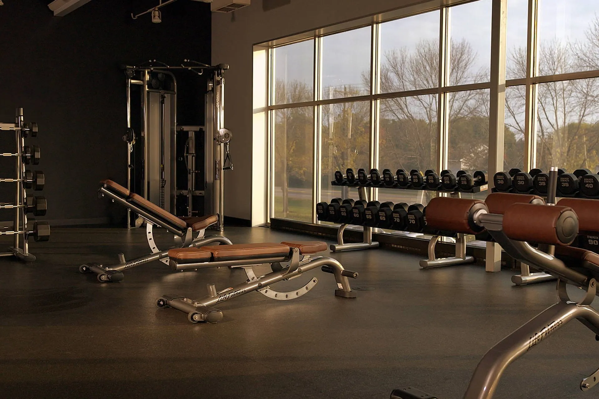 Life Fitness Multi-Adjustable Bench (💥MEMORIAL SALE)
