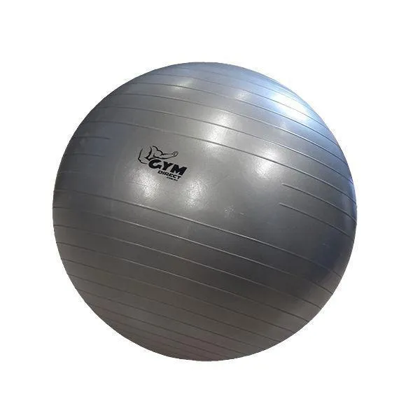 Muscle Motion 55cm Gym Ball / Fit Ball / Swiss Ball