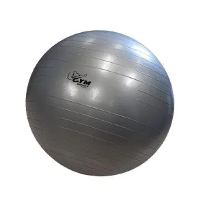 Muscle Motion 55cm Gym Ball / Fit Ball / Swiss Ball