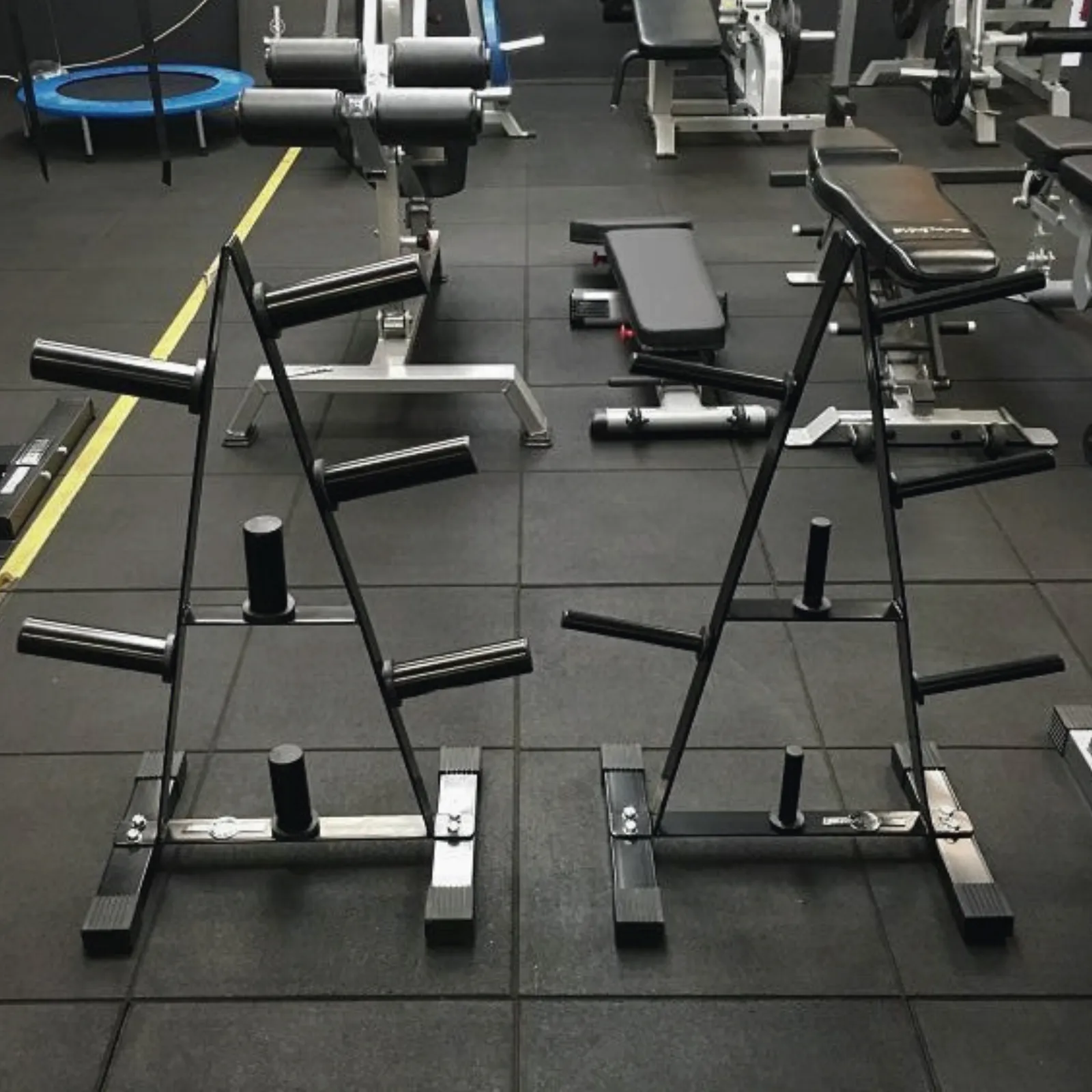 Muscle Motion Standard Weight Plate Rack