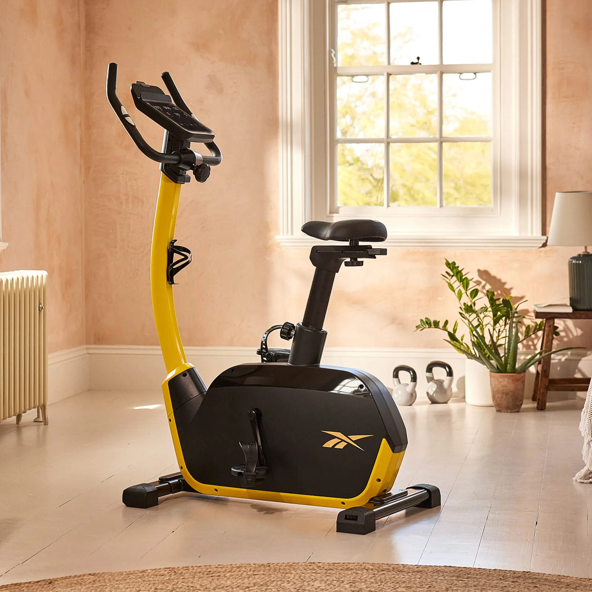 Reebok FR30 Exercise Bike