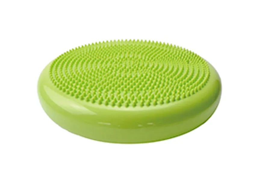 Warrior Balance Discs
